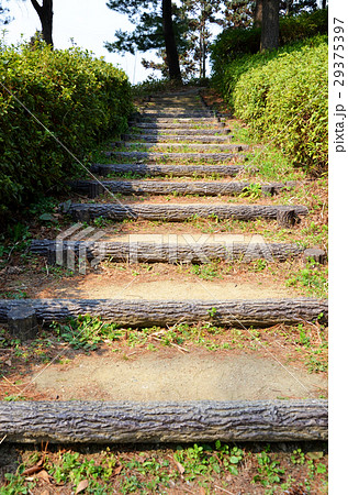 遊歩道の階段 29375397