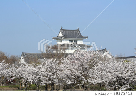 関宿城（せきやどじょう） 29375412