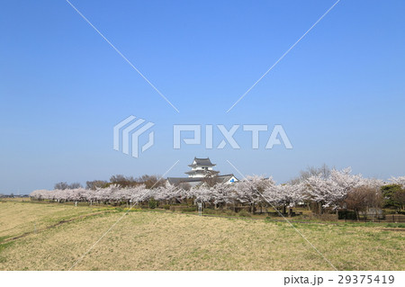 関宿城(せきやどじょう) 関宿城(せきやどじょう) 29375419