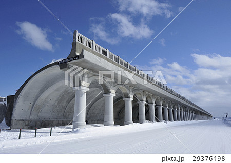 利礼ドーム 29376498