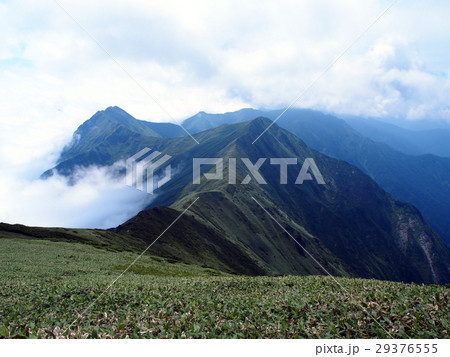 谷川岳からの緑の稜線 29376555