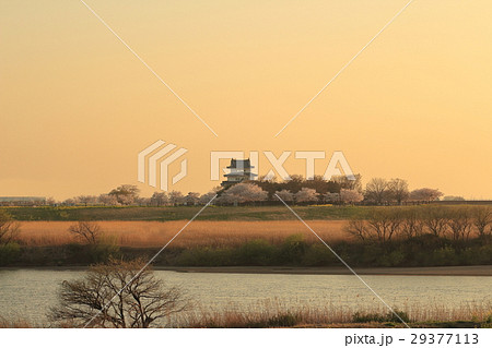 関宿城（せきやどじょう）夕景 29377113