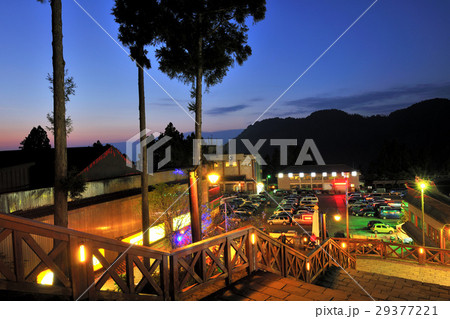 阿里山 花 フラワー 29377221