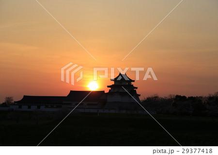 関宿城（せきやどじょう）夕景 29377418