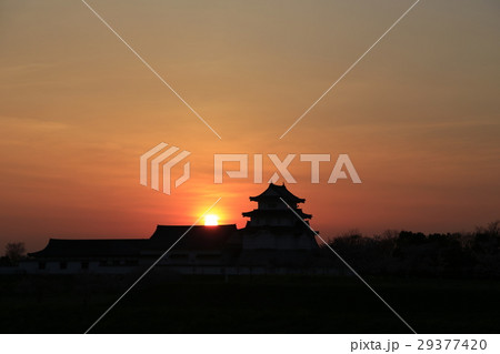 関宿城（せきやどじょう）夕景 29377420