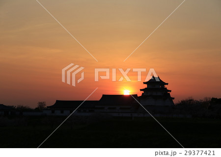 関宿城（せきやどじょう）夕景 29377421