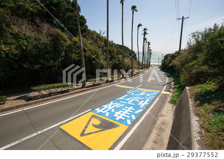 津波セーフティーライン 津波セーフティーライン 29377552