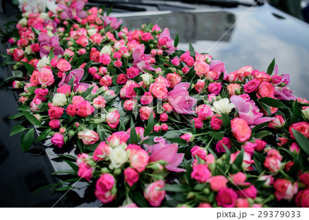 Pink roses and tulips lie on black car hood 29379033
