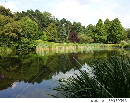 Dortmund, Westfalenpark, Summer 2016 Dortmund, Westfalenpark, Summer 2016 29379548