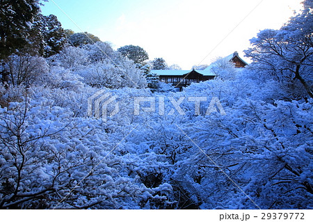 冬の東福寺 29379772