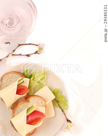 早春の桜の花とロゼワイン 29380231