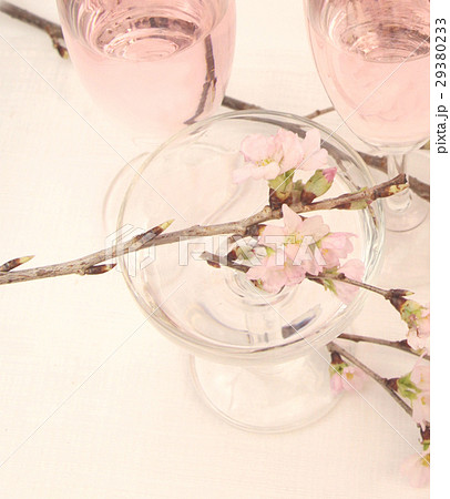 早春の桜の花とロゼワイン 29380233