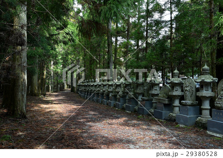 高野山 奥の院参道 高野山 奥の院参道 29380528