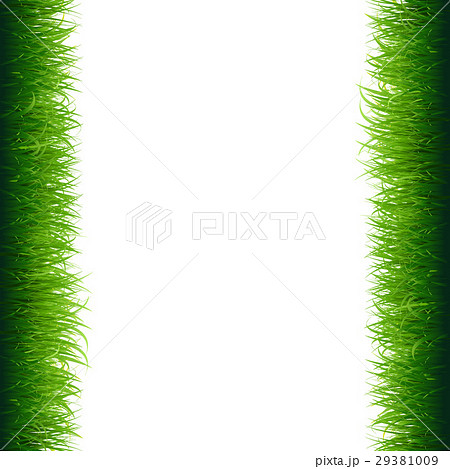 Green Grass Frame 29381009