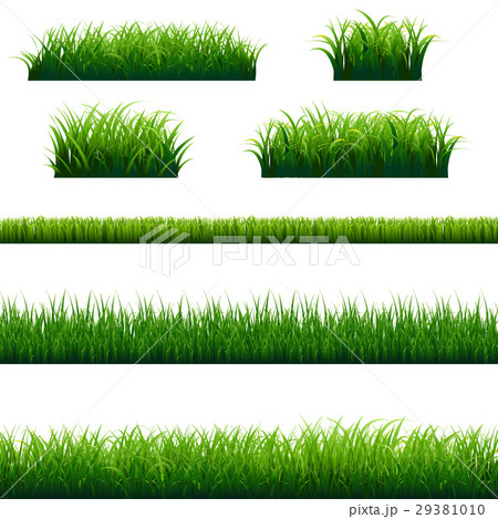 Green Grass Frame Big Set 29381010