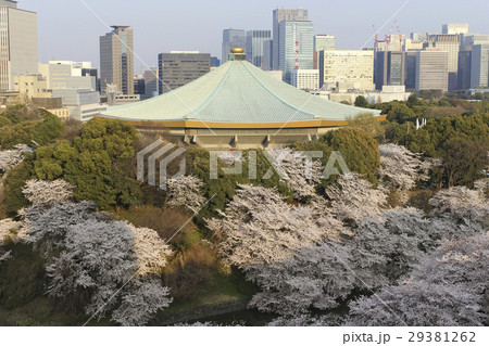 東京・日本武道館と大手町ビル群 桜のころ 東京・日本武道館と大手町ビル群 桜のころ 29381262