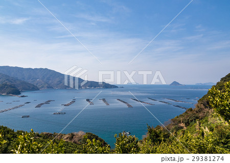 真珠養殖場（宇和島） 29381274