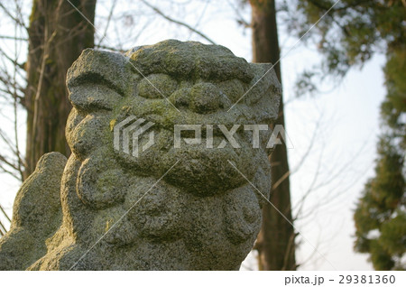 富山県高岡市貴布祢神社の狛犬 29381360