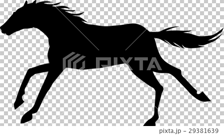 サラブレッド005 29381639