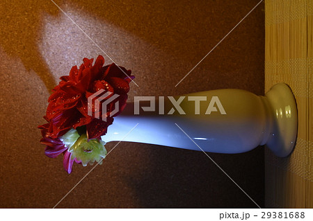 花 フラワー お花 29381688