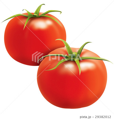 トマト 29382012