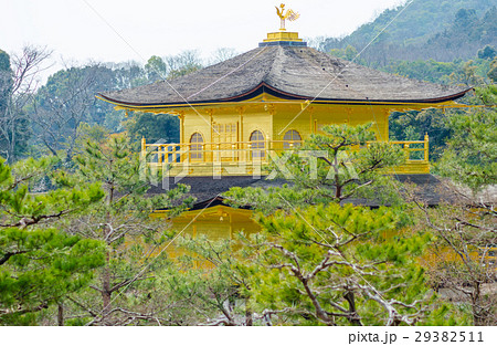 早春の金閣寺　鳳凰像 29382511