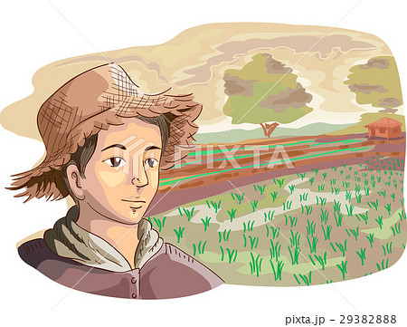Man Farmer Rice Fields Man Farmer Rice Fields 29382888