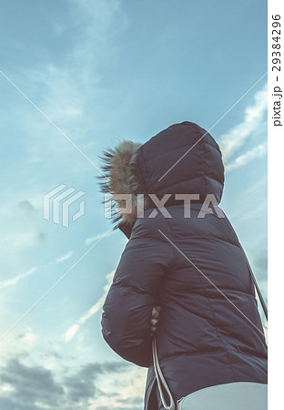 冬の散歩道 29384296