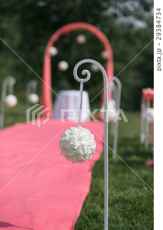Wedding registration beautiful in nature. White 29384734