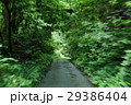 山道を走る風景 29386404