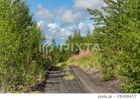Road to Klyuchevskoy Nature Park. Kamchatka 29388457