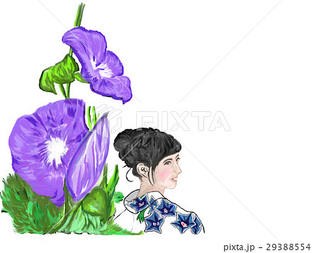 朝顔と浴衣美人 朝顔と浴衣美人 29388554