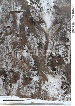 白馬村の3月 急斜面の雪融け 白馬村の3月 急斜面の雪融け 29388783