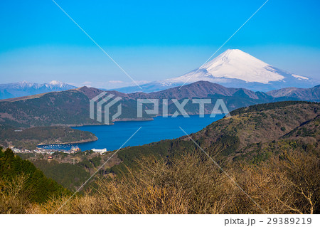 春の箱根大観山 29389219