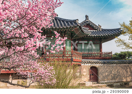 Changdeokgung Palace, Seoul, South Korea 29390009