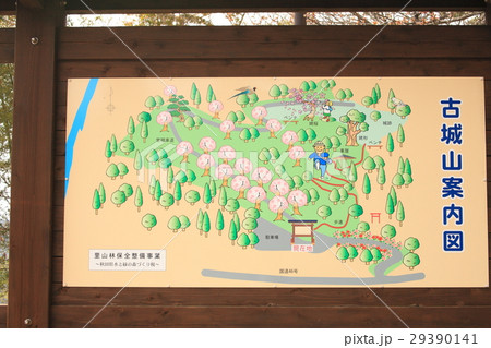 Cherry blossoms in full bloom , 桜 in 秋田, 角館 Cherry blossoms in full bloom , 桜 in 秋田, 角館 29390141