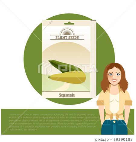 Pack of Squash seeds icon 29390185