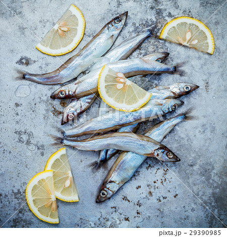 Fresh catch Shishamo fish fully eggs . 29390985
