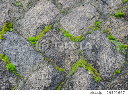 Stone wall with moss background Stone wall with moss background 29391667