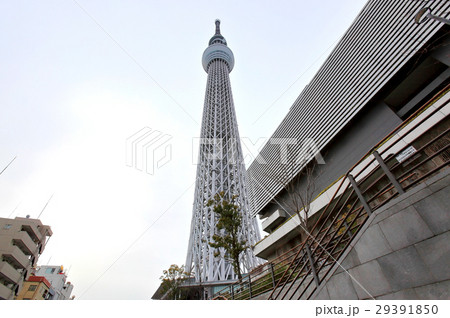 東京スカイツリー 東京スカイツリー 29391850