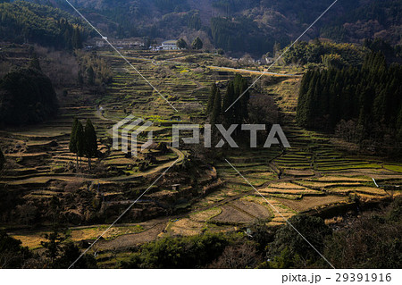 松谷棚田 29391916