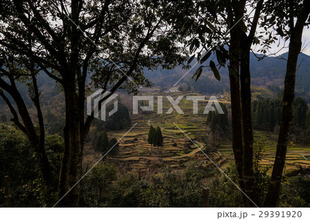 松谷棚田 29391920