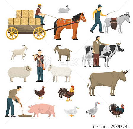 Farm Animals Set 29392245
