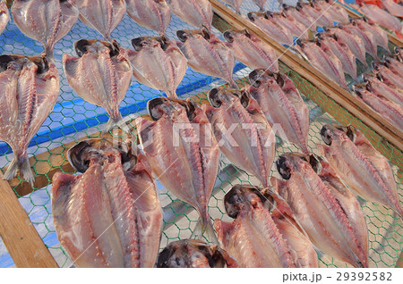 アジの干物の天日干し 29392582