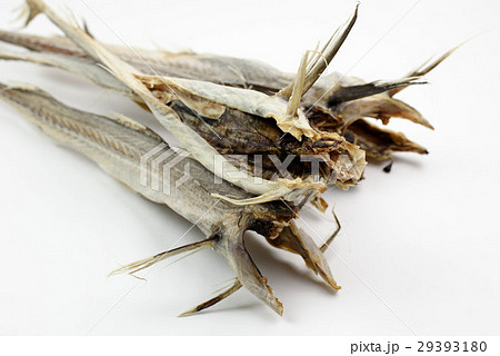 棒たら 棒たら 29393180