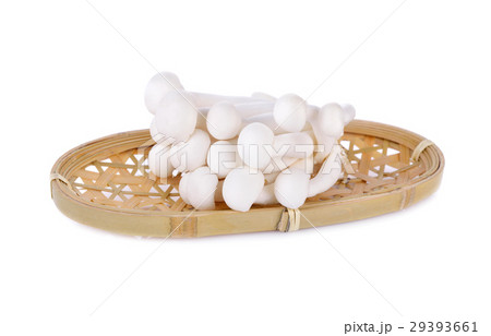shimeji mushroom, white beech mushroom in basket shimeji mushroom, white beech mushroom in basket 29393661