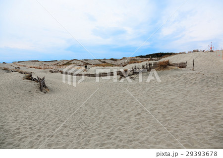 中田島砂丘 29393678