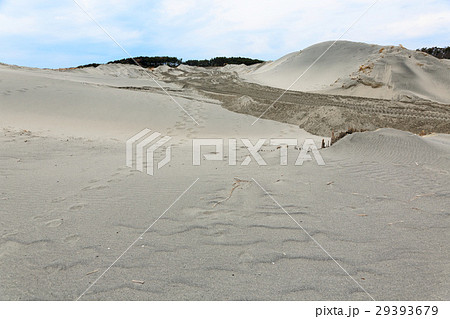 中田島砂丘 29393679
