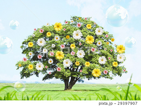 一木と花 29397907