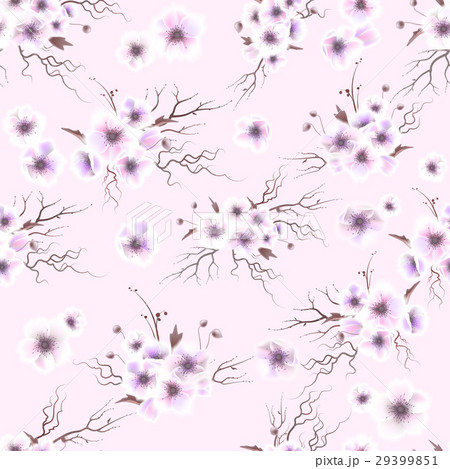 Anemones Seamless Pattern A Bouquet Of Delicateのイラスト素材